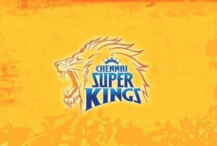 Ipl teams (2021 The Indian Professional Cricket League) - Paribet