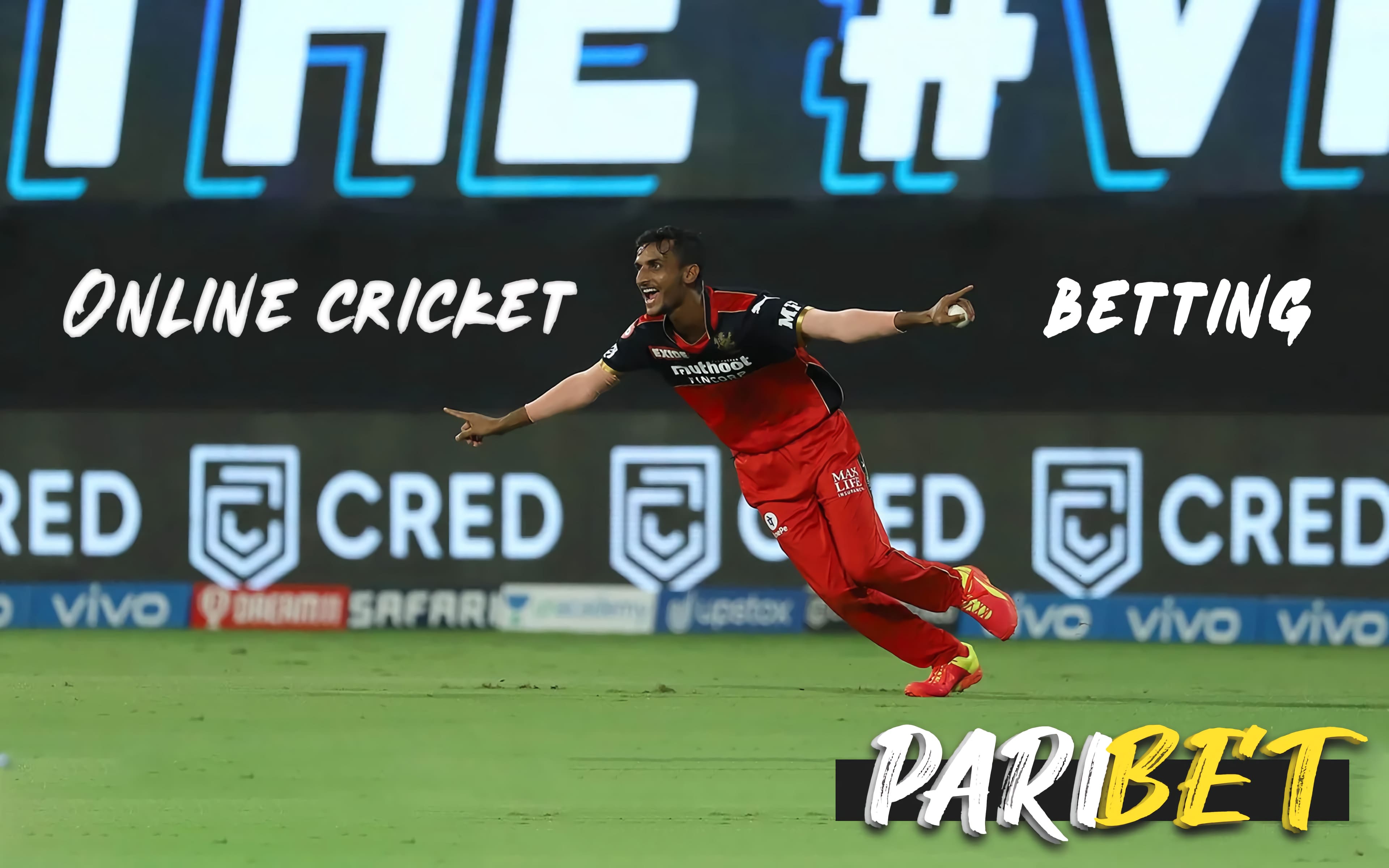 The 10 Key Elements In Ipl Online Betting App